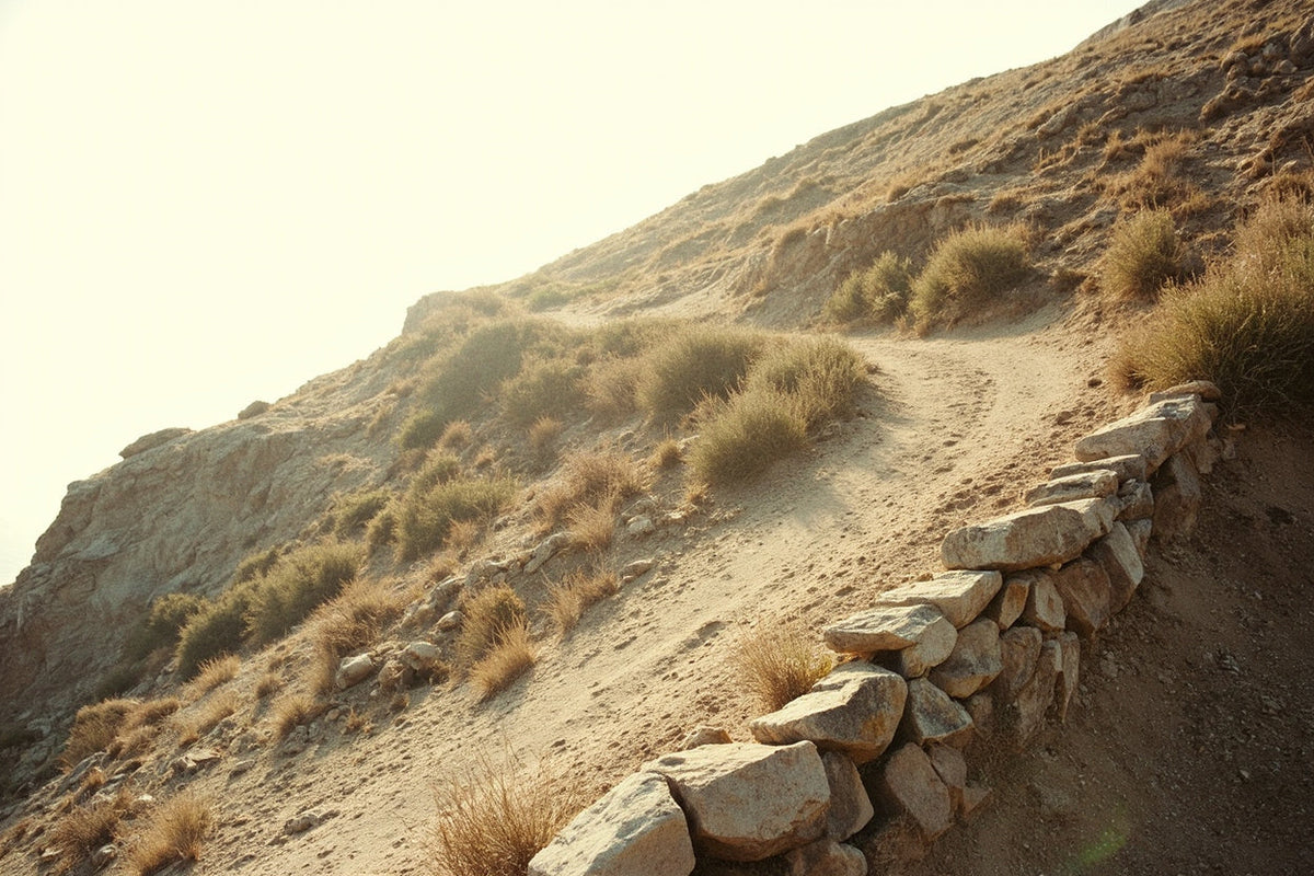 The Good Samaritan Explained: The Road to Jericho and Who Counts as a Neighbour