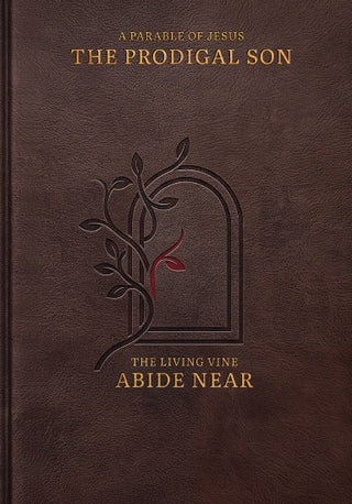 The Prodigal Son illustrated A5 hardcover front cover