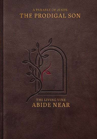 The Prodigal Son illustrated A5 hardcover front cover