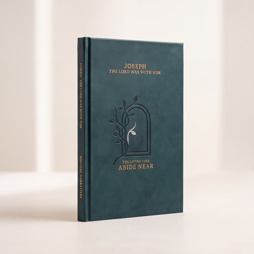A hardcover book titled 'Joseph The Lord Was With Him' standing upright on a light beige surface against a warm off-white background. The cover is a deep teal-blue with gold foil lettering and a dark embossed arch design.