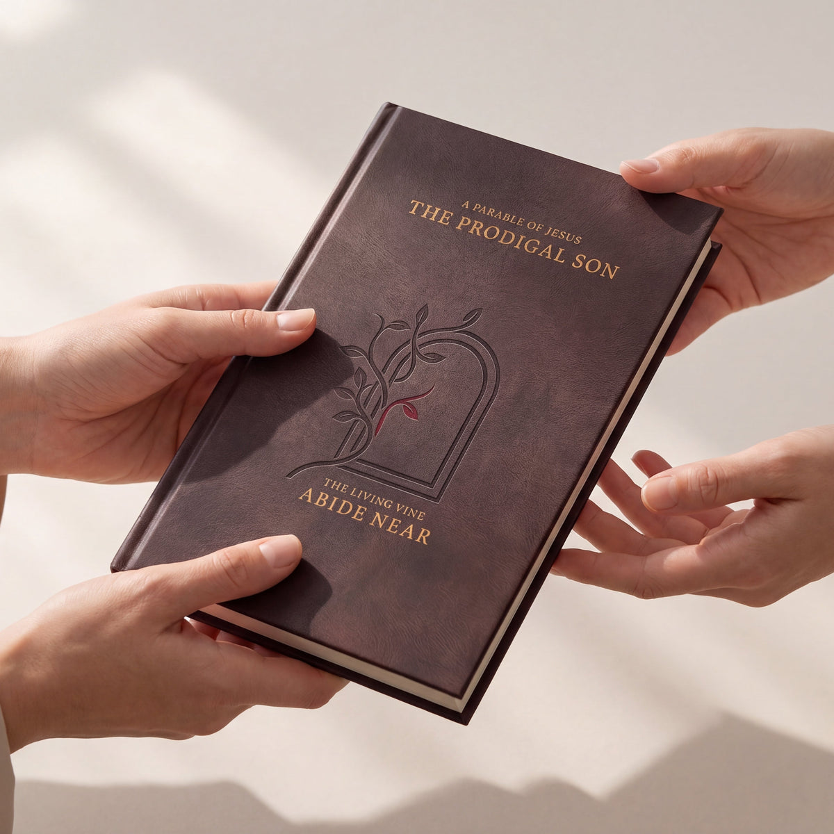 The Prodigal Son by Abide Near hardcover presented as a gift.