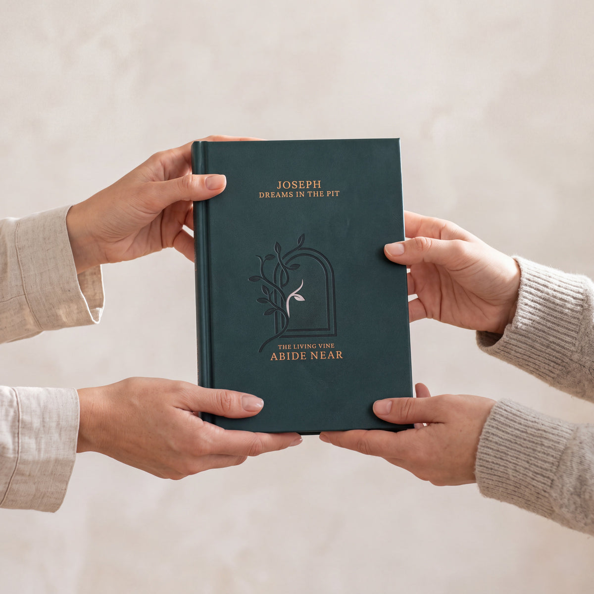 Joseph: Dreams In The Pit hardcover photographed in use