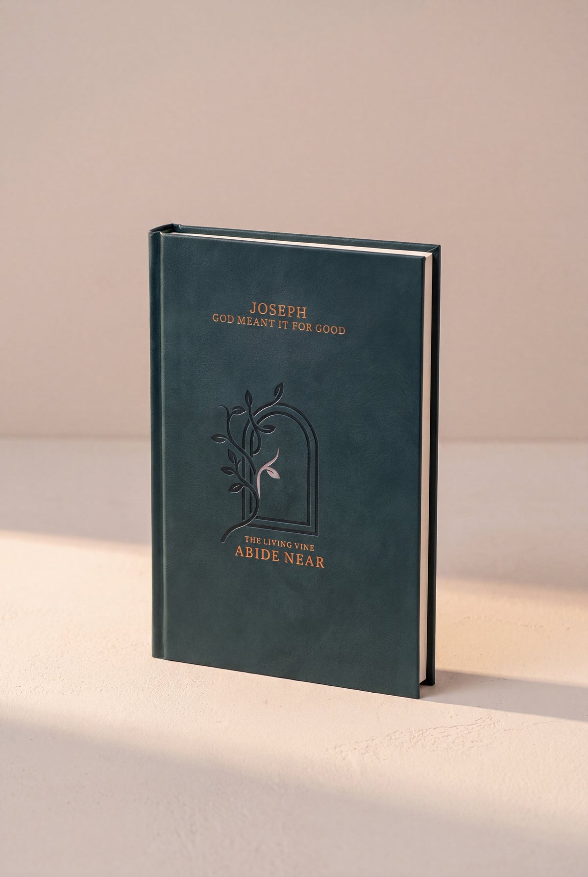 Joseph: God Meant It For Good hardcover photographed in use