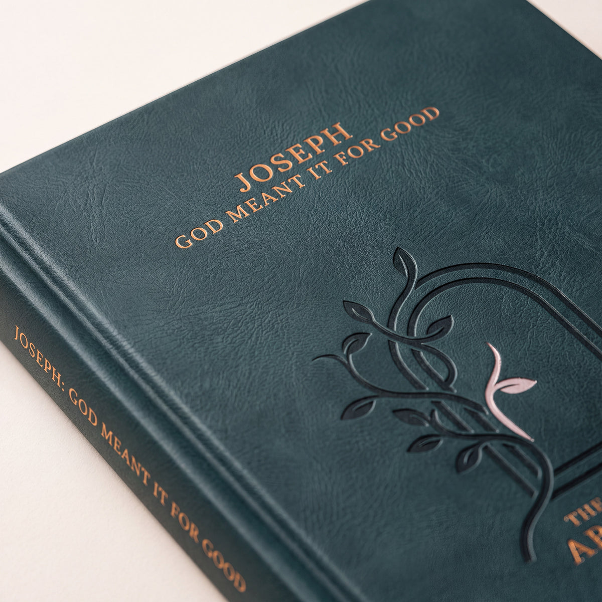 Joseph: God Meant It For Good hardcover photographed in use
