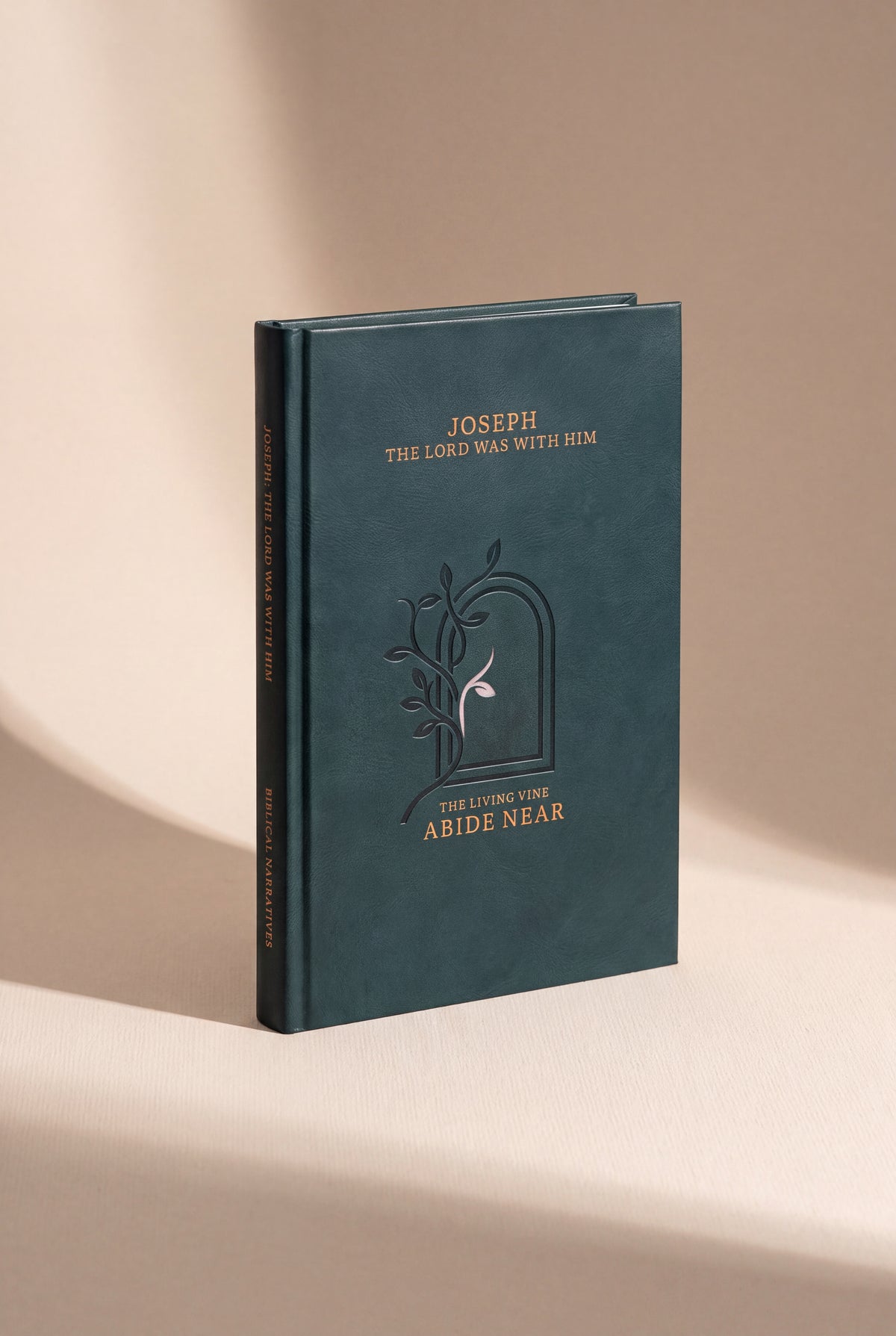 Joseph: The Lord Was With Him hardcover photographed in use