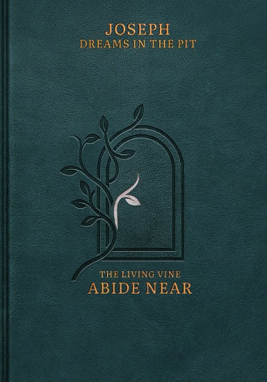 Joseph: Dreams In The Pit illustrated hardcover Bible book front cover, Genesis 37, by Abide Near