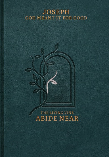 Joseph: God Meant It For Good illustrated hardcover Bible book front cover, Genesis 42–50, by Abide Near